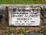 image of grave number 651257